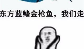 象拔蚌胆粥正宗做法 象拔蚌是什么梗